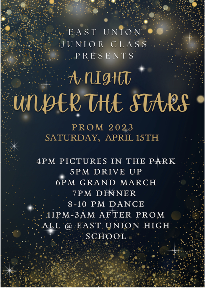 Prom theme - A night under the stars